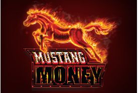 Mustang Money avis