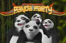 Panda Party Slot Online from Rival