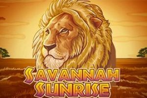 Savannah Sunrise Slot from Amaya