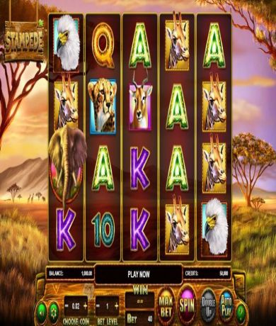 Play in Stampede Slot By Betsoft - Review, Free Play in Demo Mode for free now | CasinoCanada.com