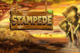 Stampede Review