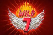 Wild 7 avis
