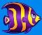 Purple-yellow fish