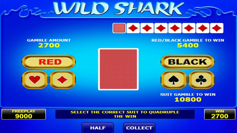 Wild Shark bonus game with card colour