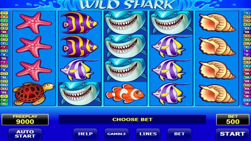 Wild Shark slot interface