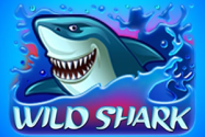 Wild Shark Online Slot Logo