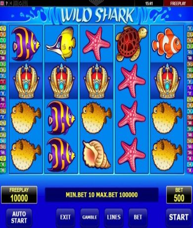 Play in Wild Shark by Amatic - Review, Free Play in Demo Mode for free now | CasinoCanada.com