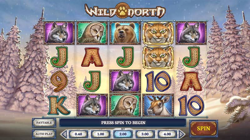 Wild North slot interface