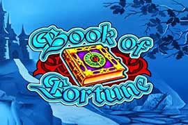 Book of Fortune Online Slot logo