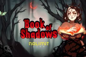Book of Shadows review