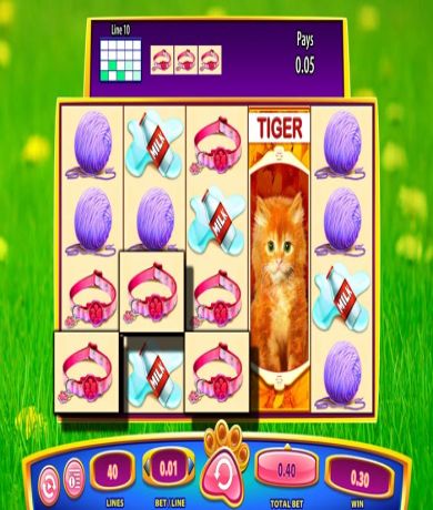 Play in OMG! Kittens Slot: Review and Play Online for free now | CasinoCanada.com