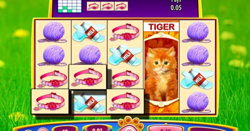 Play in OMG! Kittens Slot Online from WMS for free now | CasinoCanada.com