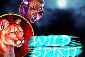 Wild Spirit Review