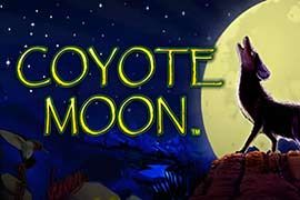 Coyote Moon Online Slot Logo