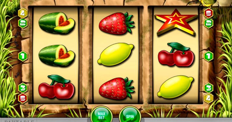 Play in  Honey Bee Slot Online from Merkur for free now | Casino Canada