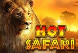 Hot Safari Review