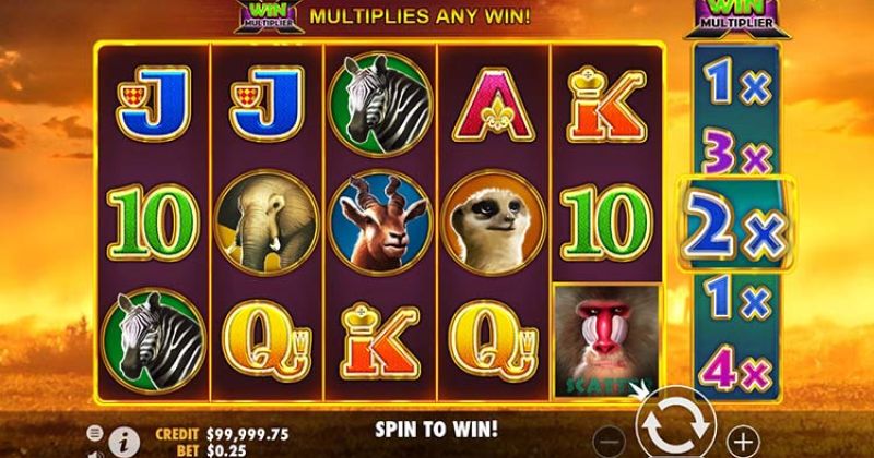 Play in Hot Safari Slot Online from Pragmatic Play for free now | Casino Canada