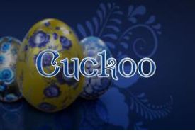 Cuckoo review