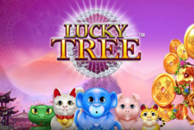Lucky Tree review