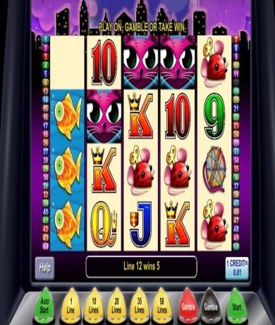 Play in Miss Kitty Slot: Review and Play Online for free now | CasinoCanada.com