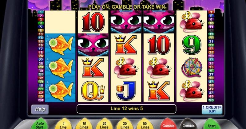 Play in Miss Kitty by Aristocrat for free now | CasinoCanada.com