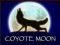 Coyote moon (wild)