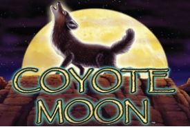 Coyote Moon avis