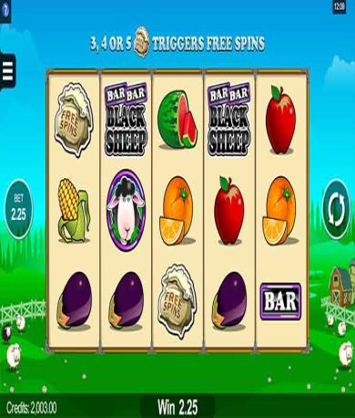 Play in Bar Bar Black Sheep Slot: Review and Play Online for free now | CasinoCanada.com