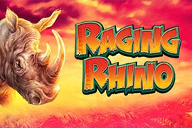 Raging Rhino