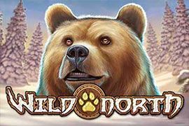 Wild North Online Slot logo