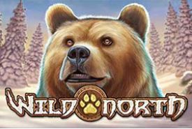Wild North review