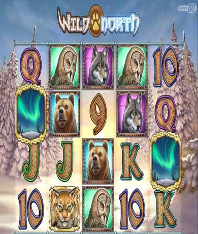 Play in Wild North by Play'n Go - Review, Free Play in Demo Mode for free now | CasinoCanada.com