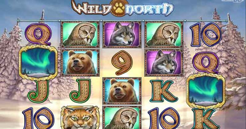 Play in Wild North Slot Online from Play’N Go for free now | CasinoCanada.com