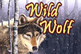 Wild Wolf slot machine from IGT