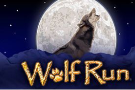 Wolf Run review