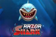 Razor Shark Review