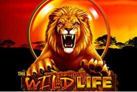 The Wild Life slot logo
