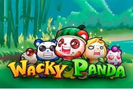 Wacky Panda Online Slot logo