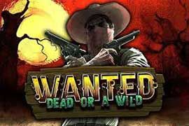 Wanted Dead Or A Wild slot logo