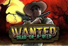Wanted Dead Or A Wild slot logo