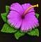 wild-swarm-symbol-purple-flower-60x60s