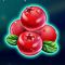 winterberries-symbol-red-berry-60x60s