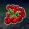 winterberries-symbol-viburnum-60x60s