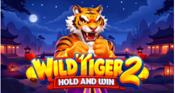 Wild Tiger 2 Hold & Win Weekly Slot Battle ⚡ by BGaming