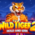 Wild Tiger 2 Hold & Win Weekly Slot Battle ⚡ by BGaming