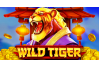 🎰 Wild Tiger Rumble: Grab $300 & 250 FS Right Now! 🐯