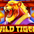 🎰 Wild Tiger Rumble: Grab $300 & 250 FS Right Now! 🐯